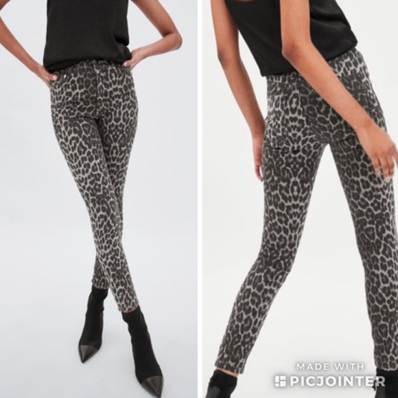 Zara High Waisted Gray Leopard Print Pants